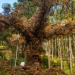 Escultura Voo dos Pássaros do artista Eduardo Srur no Parque Bambuí em Campos do Jordão