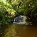 Trilha das Quedas no Parque Bambuí em Campos do Jordão