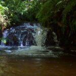 Trilha das Quedas no Parque Bambuí em Campos do Jordão