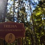 Trilha Centenária no Parque Bambuí em Campos do Jordão