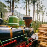 Maria Fumaça do Parque Bambuí em Campos do Jordão