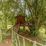 Área Externa do Chalé do Lago no Parque Bambuí em Campos do Jordão