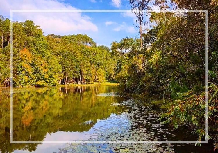 Passeio de Barco no Parque Bambuí - Campos do Jordão