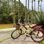 Bicicletas Vintage do Parque Bambuí em Campos do Jordão