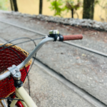 Percurso dos trilhos para Bicicletas Vintage do Parque Bambuí em Campos do Jordão