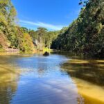 Passeio de Barco no Parque Bambuí - Campos do Jordão