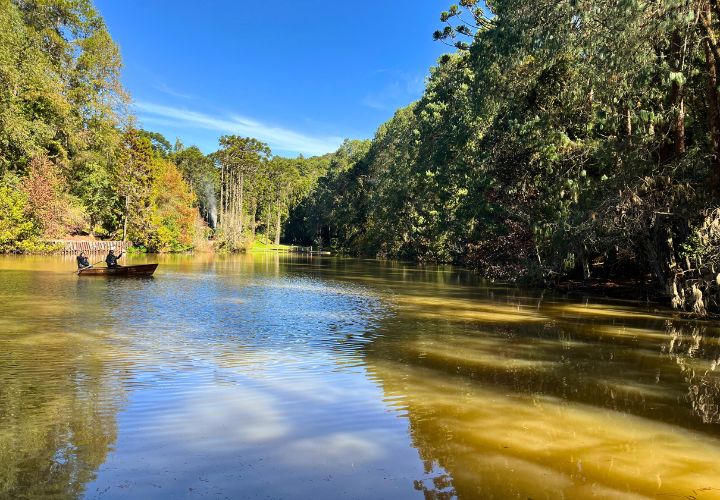 Passeio de Barco no Parque Bambuí - Campos do Jordão