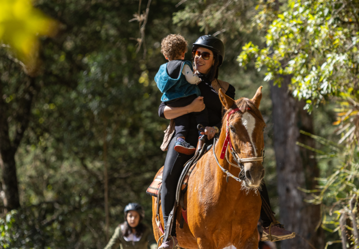 PASSEIO EQUESTRE