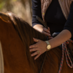 PASSEIO EQUESTRE