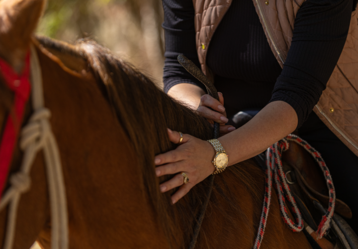PASSEIO EQUESTRE