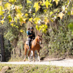 PASSEIO EQUESTRE