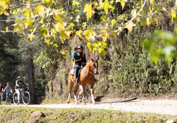 PASSEIO EQUESTRE