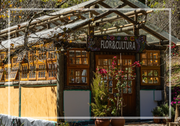 FLOR & CULTURA